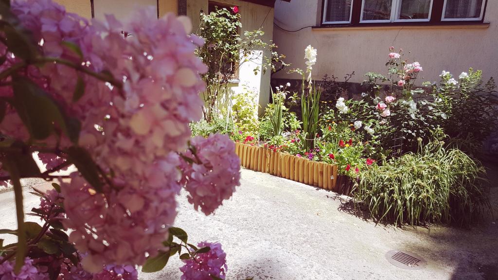 Apartment Cobanija Sarajevo Bagian luar foto