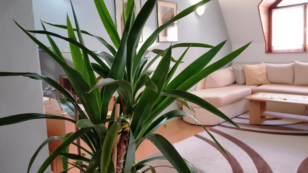 Apartment Cobanija Sarajevo Bagian luar foto